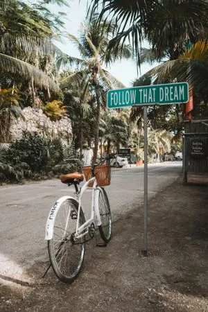 deco